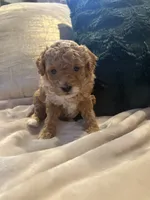 processed/c2537cc0-19ea-4076-b3ec-f1bcbda459ad/listing/227ce85e-a337-4a74-95a7-a69e7dfb5a70/8ead7364-4d85-426d-9e6e-e9bf71b93814