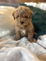 processed/c2537cc0-19ea-4076-b3ec-f1bcbda459ad/listing/39aa6f3c-55b6-4c89-97c9-a5c273a7ea96/0d7c853c-01cb-476e-a833-0ff1c2ab6b89