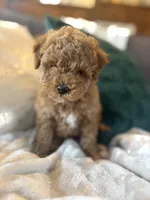 processed/c2537cc0-19ea-4076-b3ec-f1bcbda459ad/listing/39aa6f3c-55b6-4c89-97c9-a5c273a7ea96/4266f8d0-f40a-46ff-8207-54eaec9a85e7