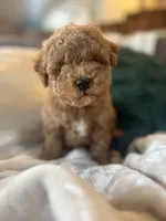 processed/c2537cc0-19ea-4076-b3ec-f1bcbda459ad/listing/39aa6f3c-55b6-4c89-97c9-a5c273a7ea96/495dfc44-e44c-47a7-b0e6-d77dd6dd4d32