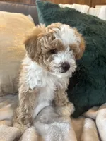 processed/c2537cc0-19ea-4076-b3ec-f1bcbda459ad/listing/cf6c7476-095a-40a7-9ebc-59e23d204a42/233bd918-536c-45a5-bebd-ec8750174732