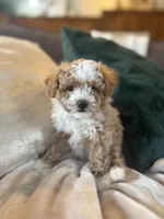 processed/c2537cc0-19ea-4076-b3ec-f1bcbda459ad/listing/cf6c7476-095a-40a7-9ebc-59e23d204a42/32c28750-5e77-4c34-95dd-a03d1c96eaad