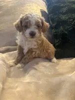 processed/c2537cc0-19ea-4076-b3ec-f1bcbda459ad/listing/cf6c7476-095a-40a7-9ebc-59e23d204a42/a203ef12-c9ec-4e8b-8c40-9547852e3cd4