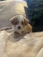 processed/c2537cc0-19ea-4076-b3ec-f1bcbda459ad/listing/cf6c7476-095a-40a7-9ebc-59e23d204a42/c2f40086-76ca-4998-9174-9cae7801edfc