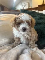 processed/c2537cc0-19ea-4076-b3ec-f1bcbda459ad/listing/cf6c7476-095a-40a7-9ebc-59e23d204a42/f13fd51e-1ec1-49fa-9b32-4a9b389d5b13