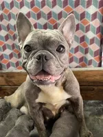 processed/c263652d-e3e0-47dd-ba48-4fbc5706fdd2/facility/84db09eb-7e9b-4629-ad6e-aeee510d67ae