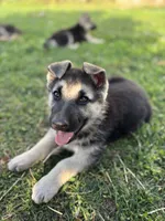 processed/c269e7de-17da-49ea-8855-e396dbbb1c41/listing/d6f19709-0156-4c9a-8296-9ae27ae2e918/bcfee98f-8409-4d42-9606-e15f4bb92f44