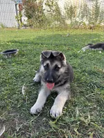 processed/c269e7de-17da-49ea-8855-e396dbbb1c41/listing/d6f19709-0156-4c9a-8296-9ae27ae2e918/fa971cb9-338f-483e-af63-a7765cc1d3a3