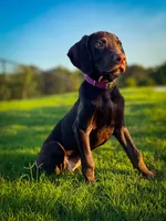 processed/c26c701f-3a4d-4ca7-acd9-a6e6ad5713bf/listing/18b5fe28-5e94-4b6a-8ca9-9035f2f1d6e0/50ccb23d-d0bd-41d6-895e-1c8825828155