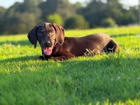 processed/c26c701f-3a4d-4ca7-acd9-a6e6ad5713bf/listing/18b5fe28-5e94-4b6a-8ca9-9035f2f1d6e0/7b265e45-0bbf-4dde-bfbb-af2d51f08118