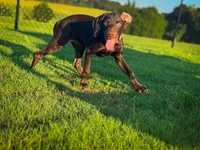 processed/c26c701f-3a4d-4ca7-acd9-a6e6ad5713bf/listing/18b5fe28-5e94-4b6a-8ca9-9035f2f1d6e0/850c7375-e99e-4e39-ab07-0a0b9cb41fb7