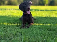 processed/c26c701f-3a4d-4ca7-acd9-a6e6ad5713bf/listing/18b5fe28-5e94-4b6a-8ca9-9035f2f1d6e0/95a1e99d-74f9-4221-82b7-36a427364594