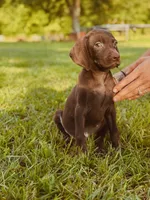 processed/c26c701f-3a4d-4ca7-acd9-a6e6ad5713bf/listing/18b5fe28-5e94-4b6a-8ca9-9035f2f1d6e0/c71f846e-85f5-4a20-a39b-032150519389