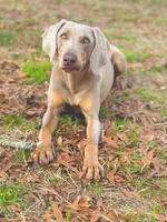 processed/c26c701f-3a4d-4ca7-acd9-a6e6ad5713bf/listing/a296468a-c09b-4859-9aa3-b1b463679c78/28df9e0d-7b9a-4676-a92d-af51ab52d11a