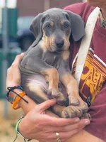 processed/c26c701f-3a4d-4ca7-acd9-a6e6ad5713bf/listing/a296468a-c09b-4859-9aa3-b1b463679c78/6227a939-227a-40e5-81bc-1d39717fba9c