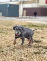 processed/c26c701f-3a4d-4ca7-acd9-a6e6ad5713bf/listing/a296468a-c09b-4859-9aa3-b1b463679c78/7e3eab20-422f-4fe4-bc23-237fe2eb890f