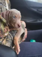 processed/c26c701f-3a4d-4ca7-acd9-a6e6ad5713bf/listing/a296468a-c09b-4859-9aa3-b1b463679c78/80e2b21c-3e4c-4142-9f5b-0fab4697ca46