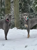 processed/c26c701f-3a4d-4ca7-acd9-a6e6ad5713bf/listing/a296468a-c09b-4859-9aa3-b1b463679c78/afdd17b0-8fc4-43d9-879f-840827b9fe8b