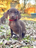 processed/c26c701f-3a4d-4ca7-acd9-a6e6ad5713bf/listing/d2dc5bff-2d3f-40c5-9177-beae91ca99f3/0e64685d-b9e7-4e89-9125-26d7167d30ff