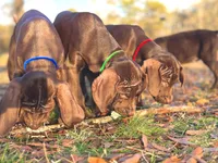 processed/c26c701f-3a4d-4ca7-acd9-a6e6ad5713bf/listing/d2dc5bff-2d3f-40c5-9177-beae91ca99f3/6f7cea26-3a4d-464c-aac2-6cbdd3c0078a