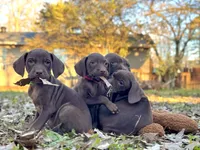 processed/c26c701f-3a4d-4ca7-acd9-a6e6ad5713bf/listing/d2dc5bff-2d3f-40c5-9177-beae91ca99f3/c45cd891-3832-4ed5-a682-1c813cd6b317