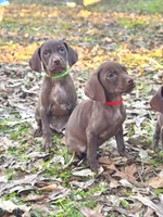 processed/c26c701f-3a4d-4ca7-acd9-a6e6ad5713bf/listing/d2dc5bff-2d3f-40c5-9177-beae91ca99f3/ff1189b7-e429-4735-8ddd-44f6e180f2a4