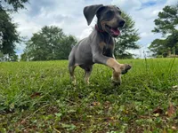 processed/c26c701f-3a4d-4ca7-acd9-a6e6ad5713bf/listing/e9dfb7ea-04aa-45a2-8398-542cae7537e1/184919f1-f00c-4b10-a784-2c2a8e7b97e6