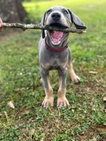 processed/c26c701f-3a4d-4ca7-acd9-a6e6ad5713bf/listing/e9dfb7ea-04aa-45a2-8398-542cae7537e1/20db387f-7c80-4205-8564-e2d501c07fa7