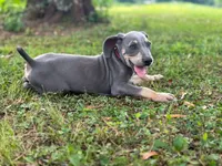 processed/c26c701f-3a4d-4ca7-acd9-a6e6ad5713bf/listing/e9dfb7ea-04aa-45a2-8398-542cae7537e1/6a9da874-3c53-4332-b5b0-5e37bc367378