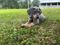 processed/c26c701f-3a4d-4ca7-acd9-a6e6ad5713bf/listing/e9dfb7ea-04aa-45a2-8398-542cae7537e1/d4d5202d-1a74-4528-a4ae-d3e91306cfd4