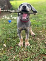 processed/c26c701f-3a4d-4ca7-acd9-a6e6ad5713bf/listing/e9dfb7ea-04aa-45a2-8398-542cae7537e1/ea22cfb2-decb-4383-8469-c7d4ddcebded