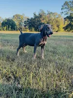 processed/c26c701f-3a4d-4ca7-acd9-a6e6ad5713bf/listing/e9dfb7ea-04aa-45a2-8398-542cae7537e1/f68689d8-c310-4287-bd7d-8e9c4d96391a