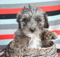 processed/c271a356-0876-49ba-becb-a72b419600a0/listing/1c8b7732-dd71-4d89-a24f-cd618bc7e840/3ceec3e3-3b77-4b60-82eb-9e5634a2312d