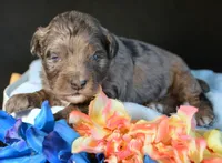 processed/c271a356-0876-49ba-becb-a72b419600a0/listing/1c8b7732-dd71-4d89-a24f-cd618bc7e840/798fe716-4825-4b0d-87a8-11d82c21967c