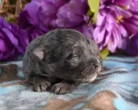 processed/c271a356-0876-49ba-becb-a72b419600a0/listing/1c8b7732-dd71-4d89-a24f-cd618bc7e840/b8a3e189-899d-4452-9de6-c49d5a55d959