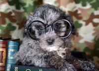 processed/c271a356-0876-49ba-becb-a72b419600a0/listing/1c8b7732-dd71-4d89-a24f-cd618bc7e840/e371a3a2-388f-4c84-87f2-2edfabd85c37