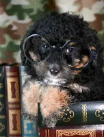 processed/c271a356-0876-49ba-becb-a72b419600a0/listing/99d65cca-a68c-4ac0-99dc-6888b25db9d9/015ed77f-71fd-405e-974f-953601949bdf