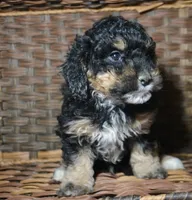 processed/c271a356-0876-49ba-becb-a72b419600a0/listing/99d65cca-a68c-4ac0-99dc-6888b25db9d9/477d0c1e-2e61-4174-b5bd-9b107c4fdbb4