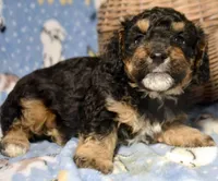 processed/c271a356-0876-49ba-becb-a72b419600a0/listing/99d65cca-a68c-4ac0-99dc-6888b25db9d9/5b534ab7-2507-4b7f-9928-aa1851258d2e