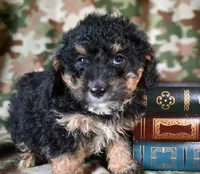 processed/c271a356-0876-49ba-becb-a72b419600a0/listing/99d65cca-a68c-4ac0-99dc-6888b25db9d9/a8aa32a7-22aa-4fe0-8dee-0b93a260a958