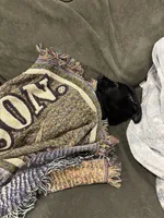 Mabel, a female Border Collie and German Shepherd Dog for sale in Cuyahoga Falls, OH – Photo 4 of 4