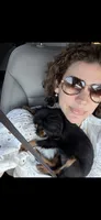 Posey , a female Cavalier King Charles Spaniel for sale in Ridgeland, MS – 2 of 10