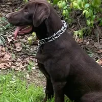 processed/c28deaef-cc0f-4775-9e89-0228158e50ab/facility/58f86cd2-51b2-48ed-b913-6a18a5badb58