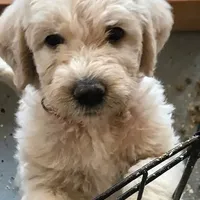 processed/c28deaef-cc0f-4775-9e89-0228158e50ab/facility/5b0c5bb0-3a73-4bce-ba75-de3f13f41f24