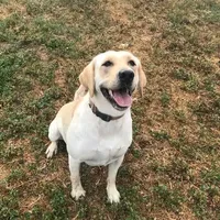 processed/c28deaef-cc0f-4775-9e89-0228158e50ab/facility/69f43ad1-7240-4def-b60e-cc012fcc7165