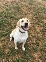 processed/c28deaef-cc0f-4775-9e89-0228158e50ab/facility/69f43ad1-7240-4def-b60e-cc012fcc7165