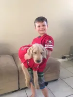 processed/c28deaef-cc0f-4775-9e89-0228158e50ab/facility/8b00254c-3566-4f0e-829d-cf5e9a8a4ed8