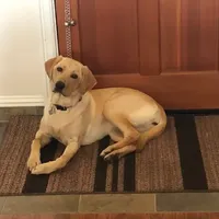 processed/c28deaef-cc0f-4775-9e89-0228158e50ab/facility/917c440d-be31-4656-a232-97674daa9051