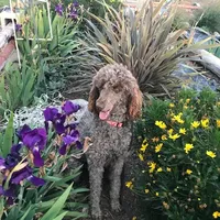 processed/c28deaef-cc0f-4775-9e89-0228158e50ab/facility/b0b90491-68aa-435d-b2e2-deff03248af9