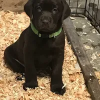 processed/c28deaef-cc0f-4775-9e89-0228158e50ab/facility/c1d2684c-3869-4dab-b897-cff547368fcf